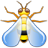 bug.png